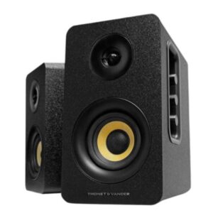 PARLANTE THONET & VANDER KUMPEL 50W BLUETOOTH 3.5 Y RCA HK096-03676